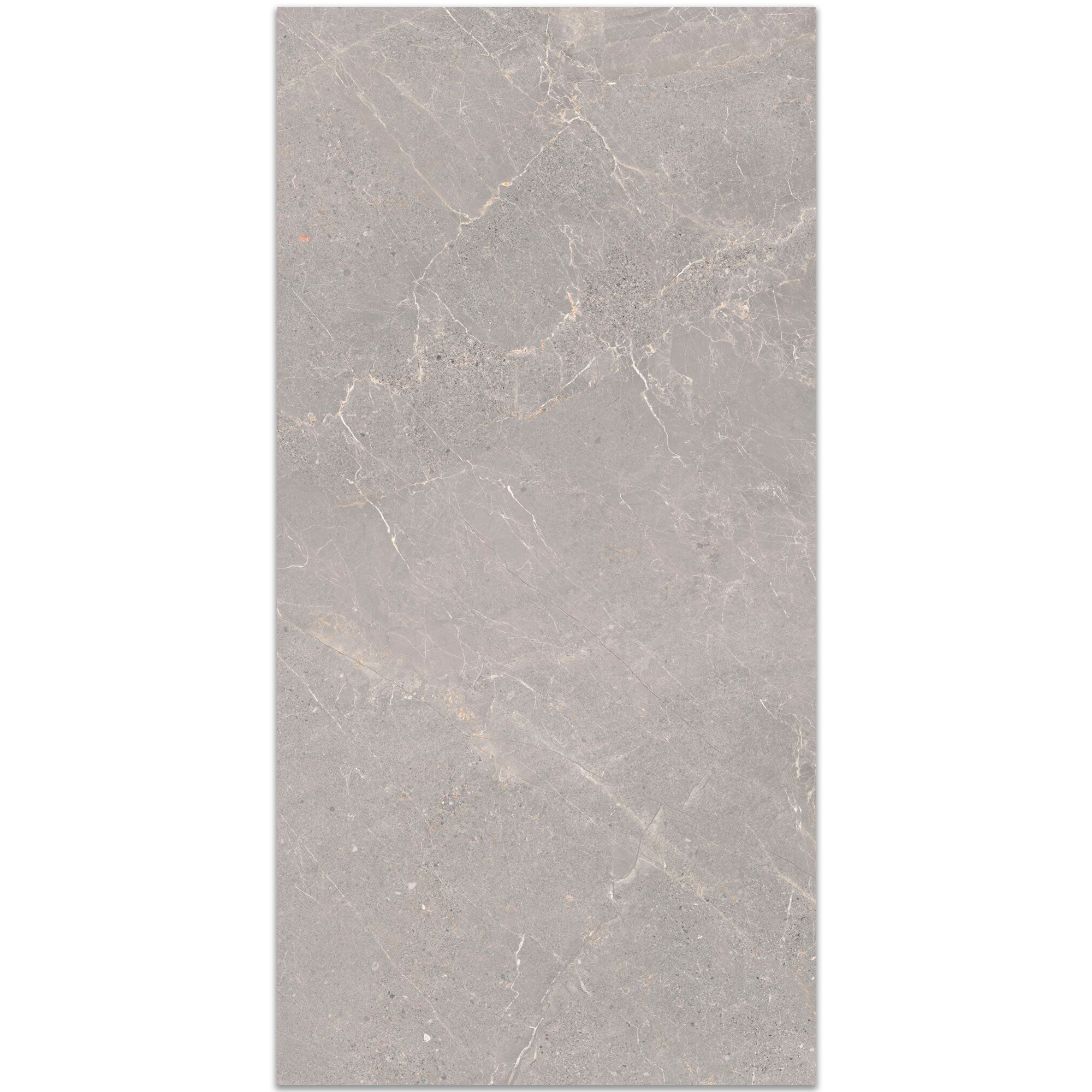 Alchemy Iron Marble Effect Porcelain Tile 60x120cm Antislip Matt
