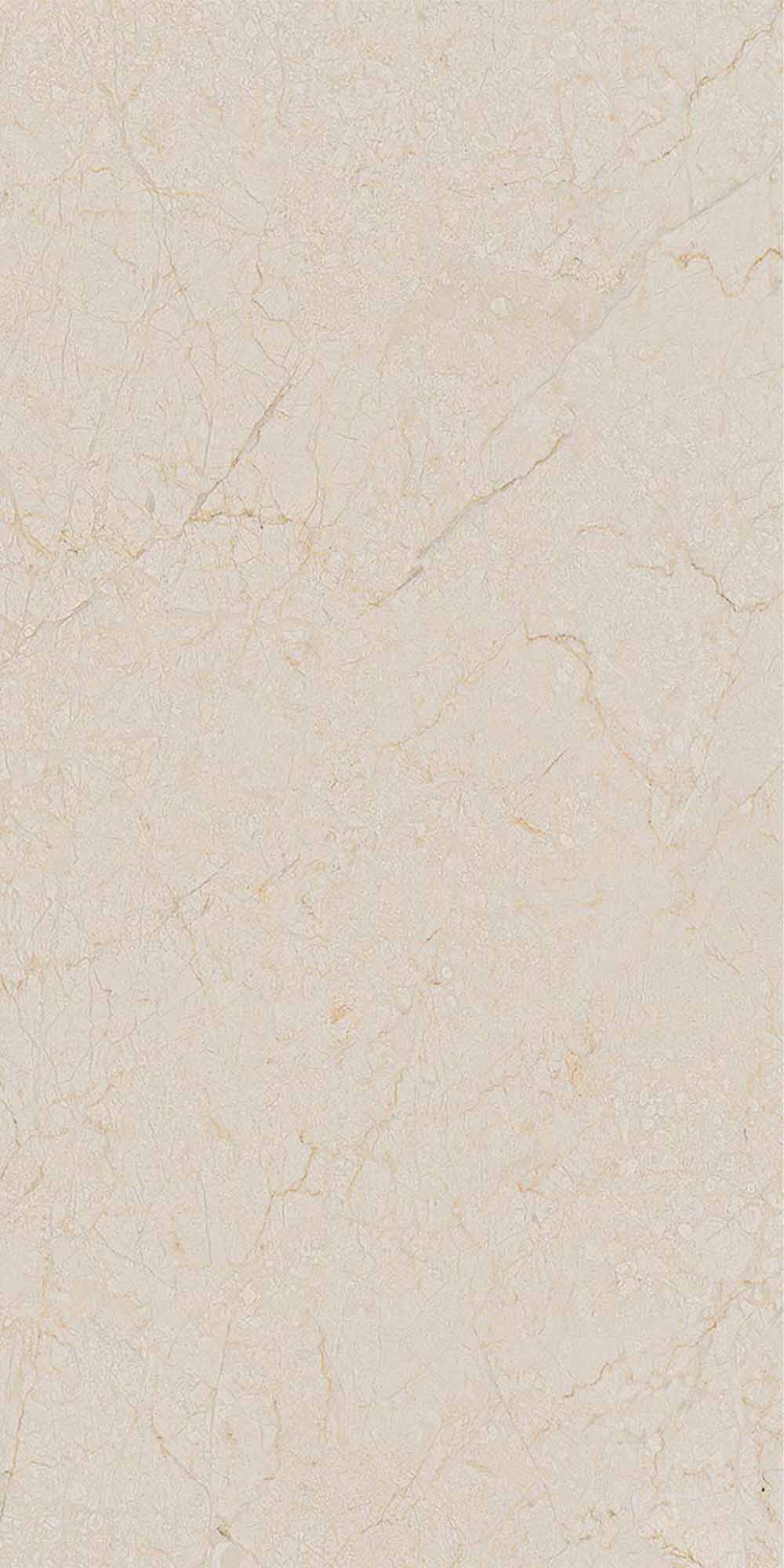 arcana black and cream cream r-oasis porcelain tile 60x120cm matt