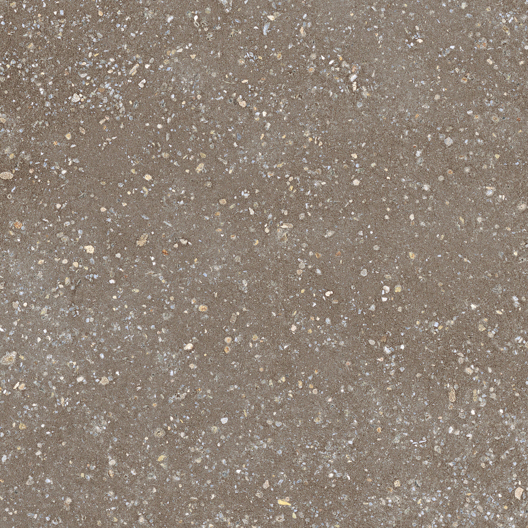 cosmos chocolate shaped terrazzo effect porcelain tile 22x22cm