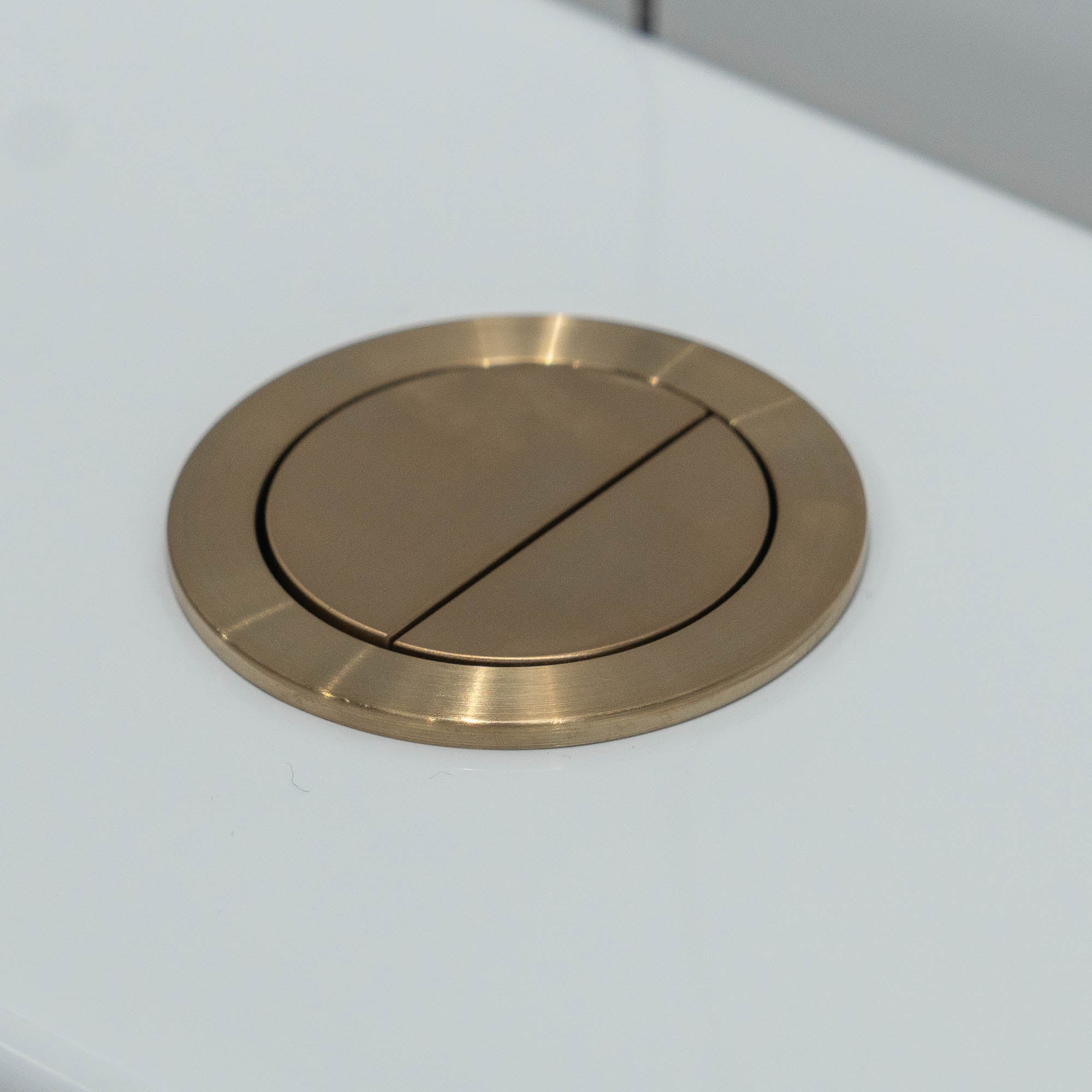 Granlusso Round Dual Flush Button With A Pair of White Hinge Covers