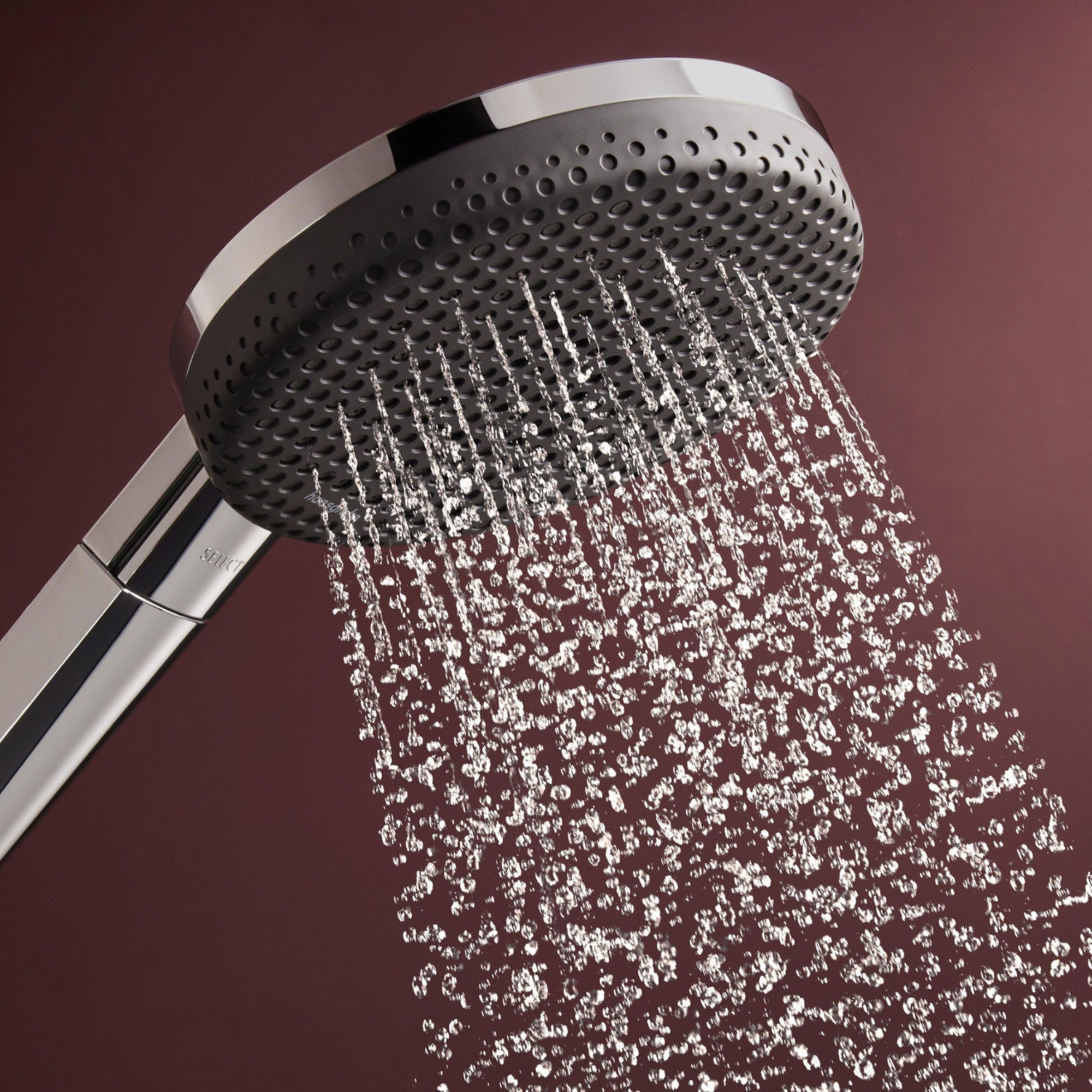 Hansgrohe Raindance Alive S 125 3Jet Hand Shower