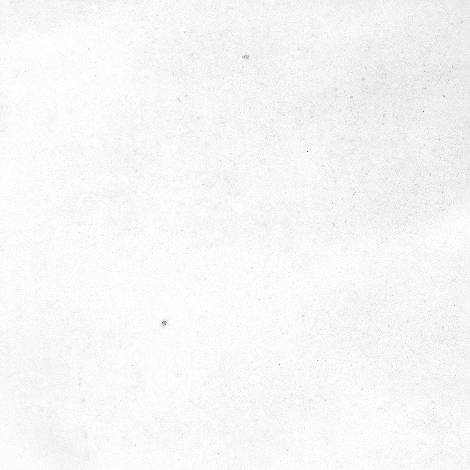 harmony samira white decor wall tile 10x10cm gloss