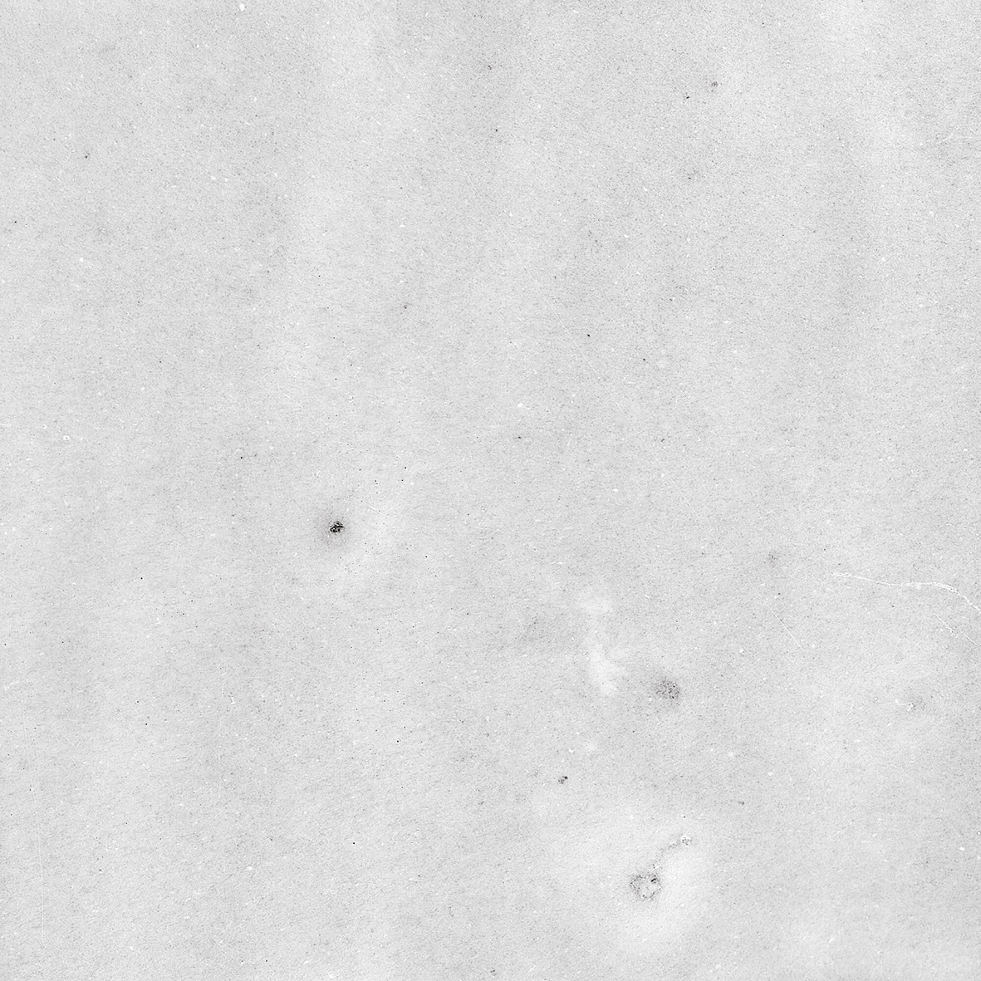 harmony samira white decor wall tile 10x10cm gloss