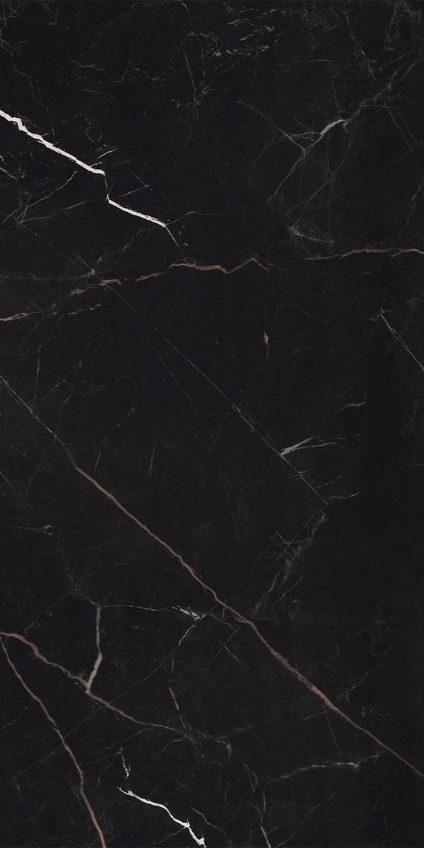 Florentina Marble Venice Black 3D Honed Porcelain Tile 60x120cm