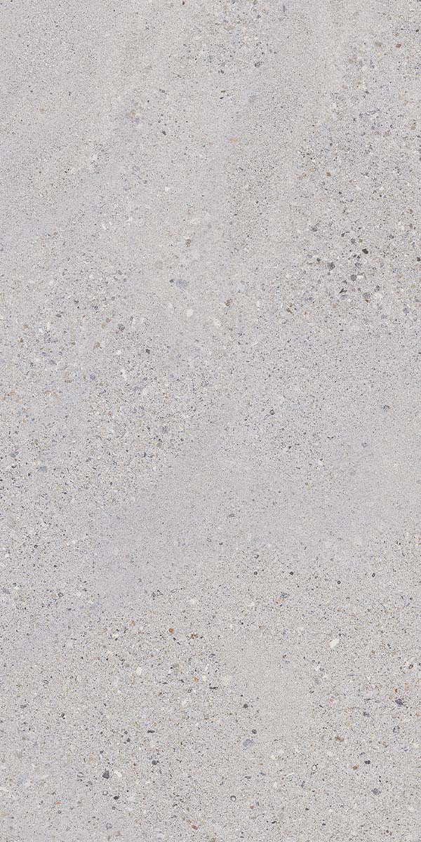 Lakestone Dolphin Non-Slip Porcelain Tile Natural Matt 60x120cm