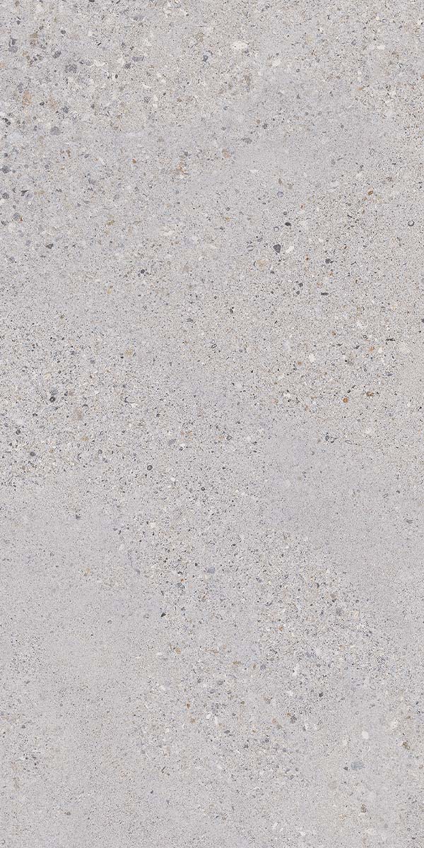 Lakestone Dolphin Non-Slip Porcelain Tile Natural Matt 60x120cm