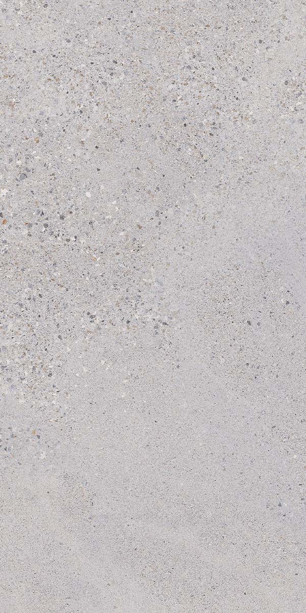 Lakestone Dolphin Non-Slip Porcelain Tile Natural Matt 60x120cm