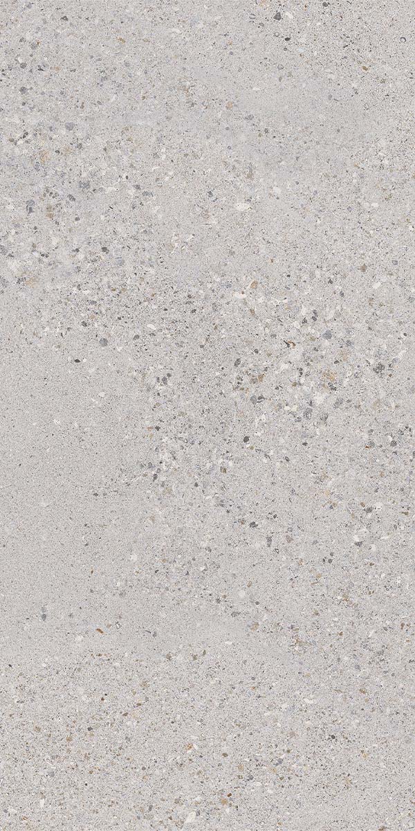 Lakestone Dolphin Non-Slip Porcelain Tile Natural Matt 60x120cm