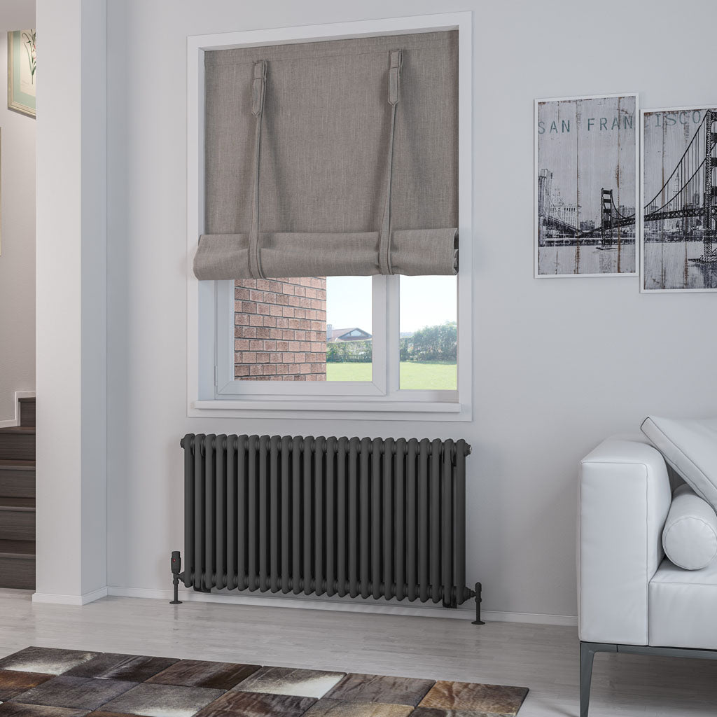 Rivassa Two Column Cast Iron Style Radiator Matt Anthracite