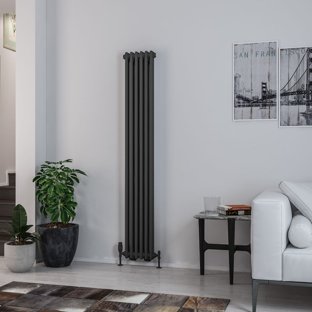 Rivassa Two Column Cast Iron Style Vertical Radiator Matt Anthracite