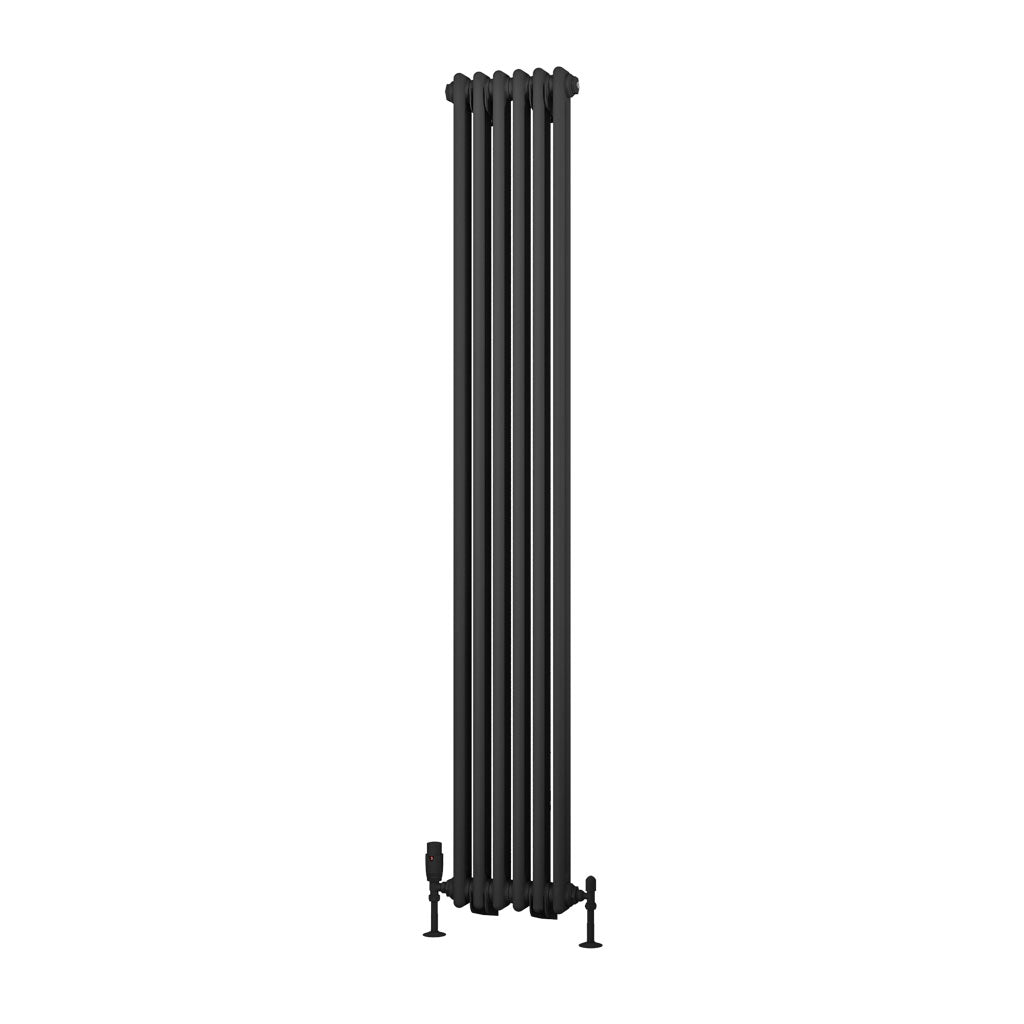 Rivassa Two Column Cast Iron Style Vertical Radiator Matt Anthracite