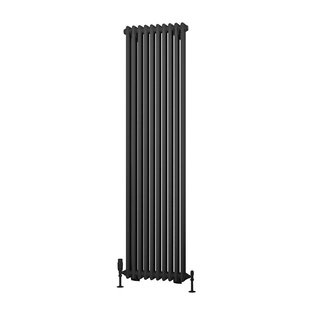 Rivassa Two Column Cast Iron Style Vertical Radiator Matt Anthracite