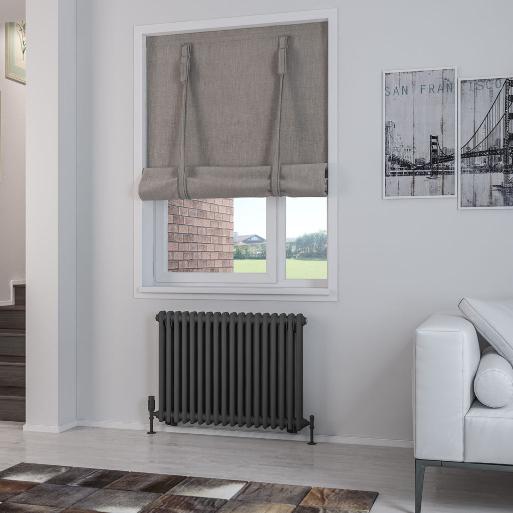 Rivassa Two Column Cast Iron Style Radiator Matt Anthracite