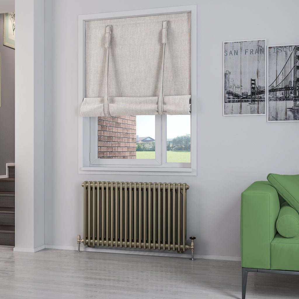 Rivassa Two Column Cast Iron Style Radiator Bronze Effect