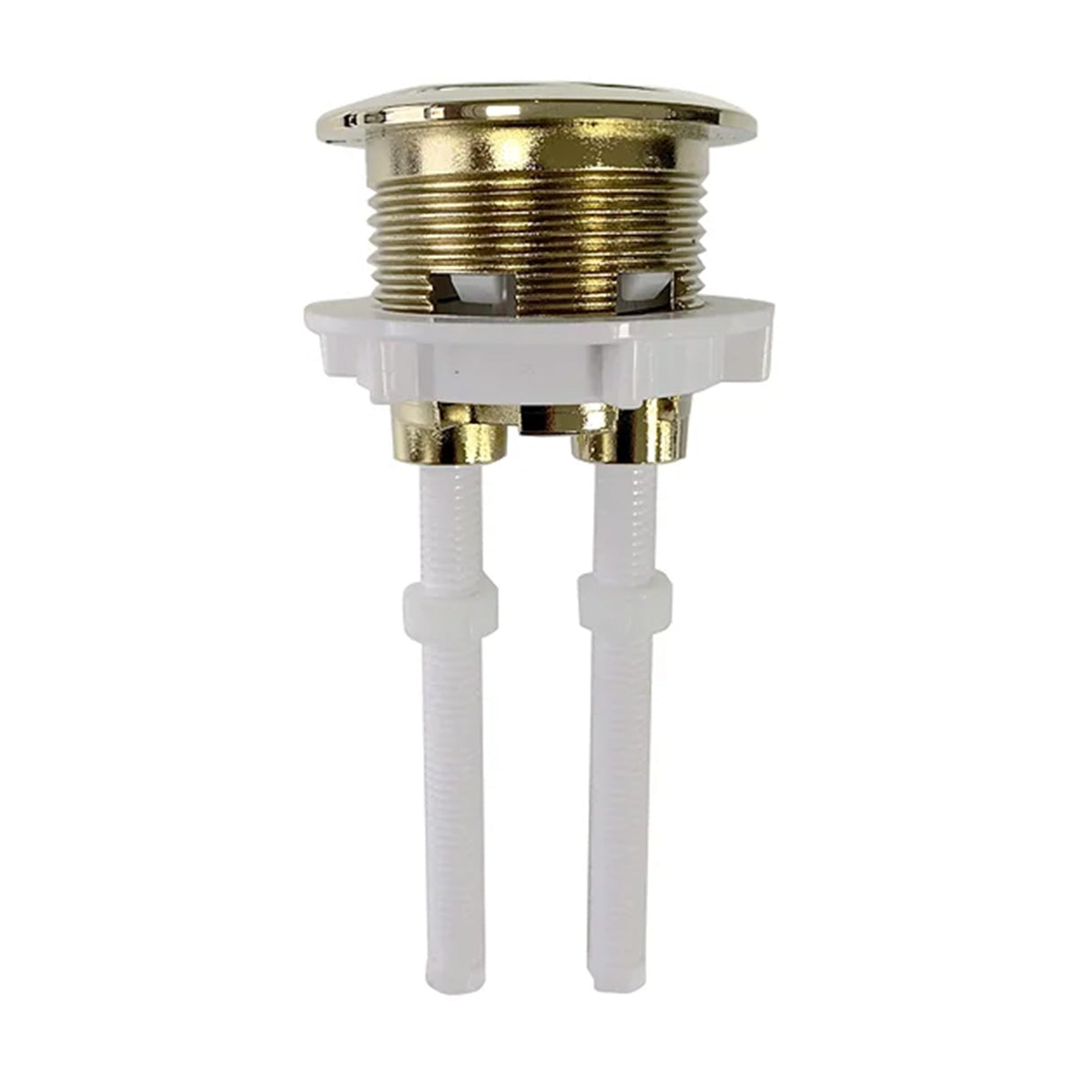 dual flush button brushed brass internal