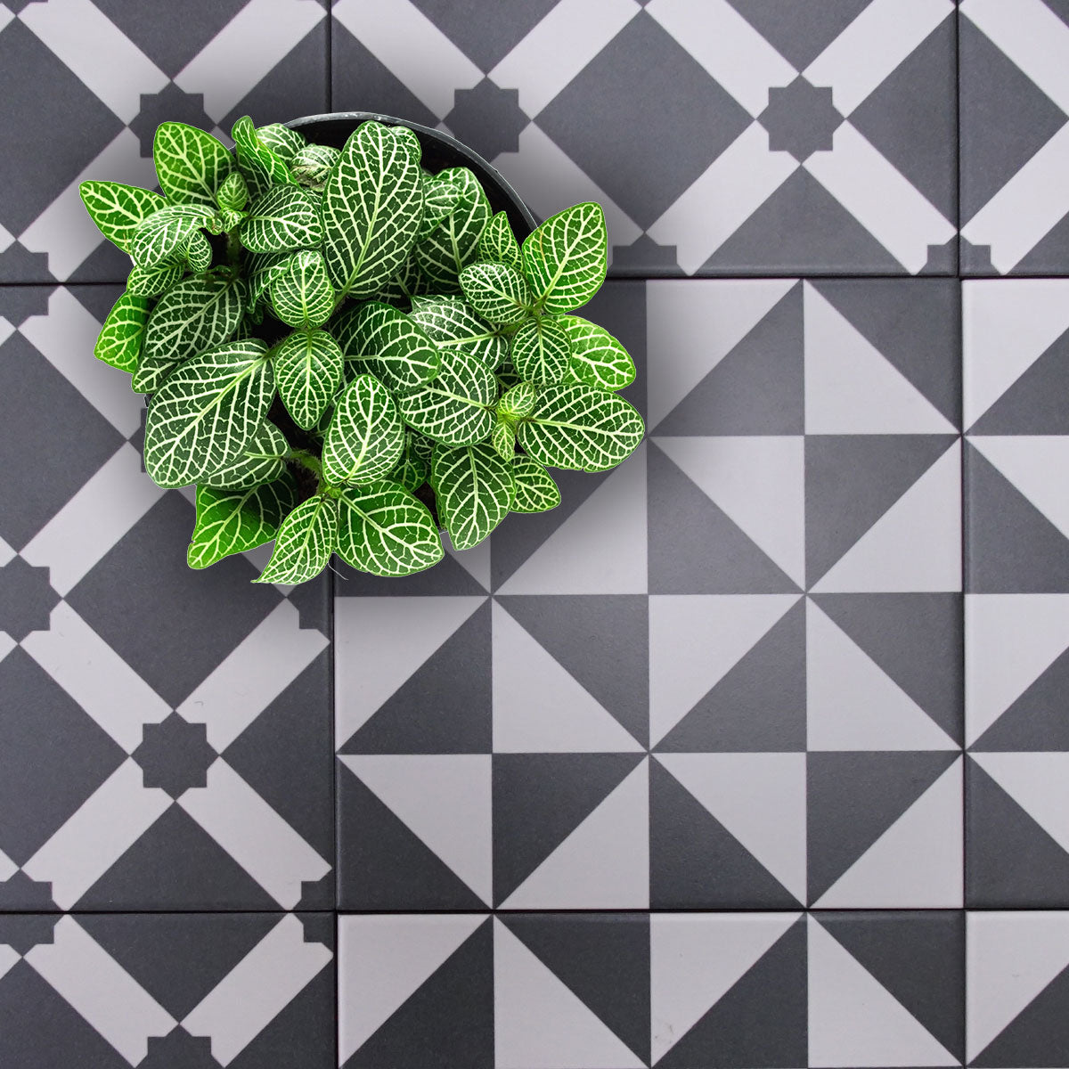 Vives Palau Grafito Porcelain Tile 20 x 20cm