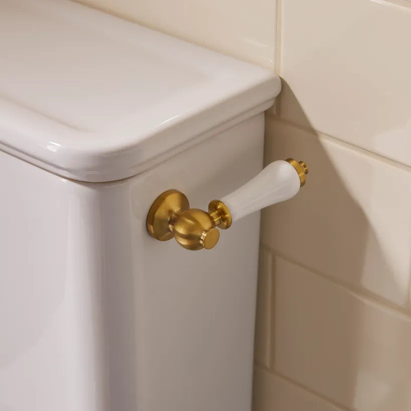 Close up of the Marston cistern flush lever in gloss white and brushed-brass.