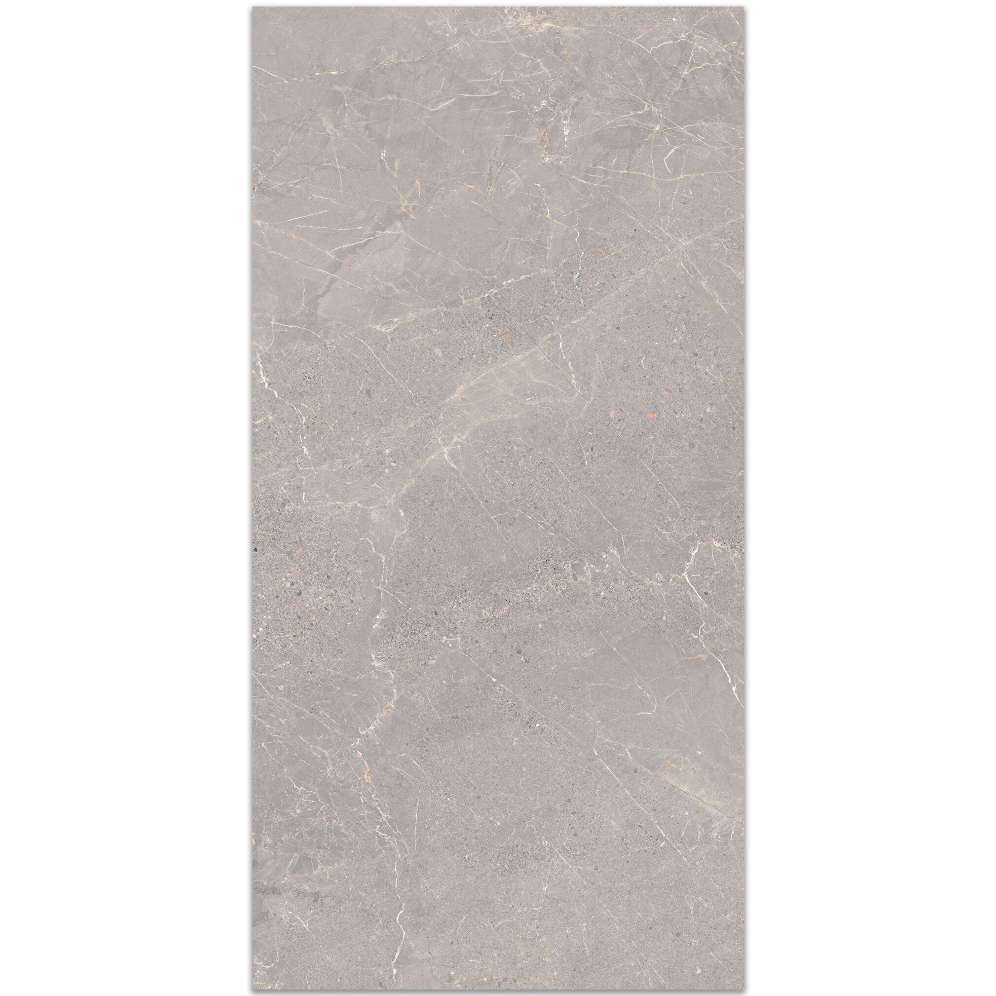 Alchemy Iron Marble Effect Porcelain Tile 60x120cm Antislip Matt