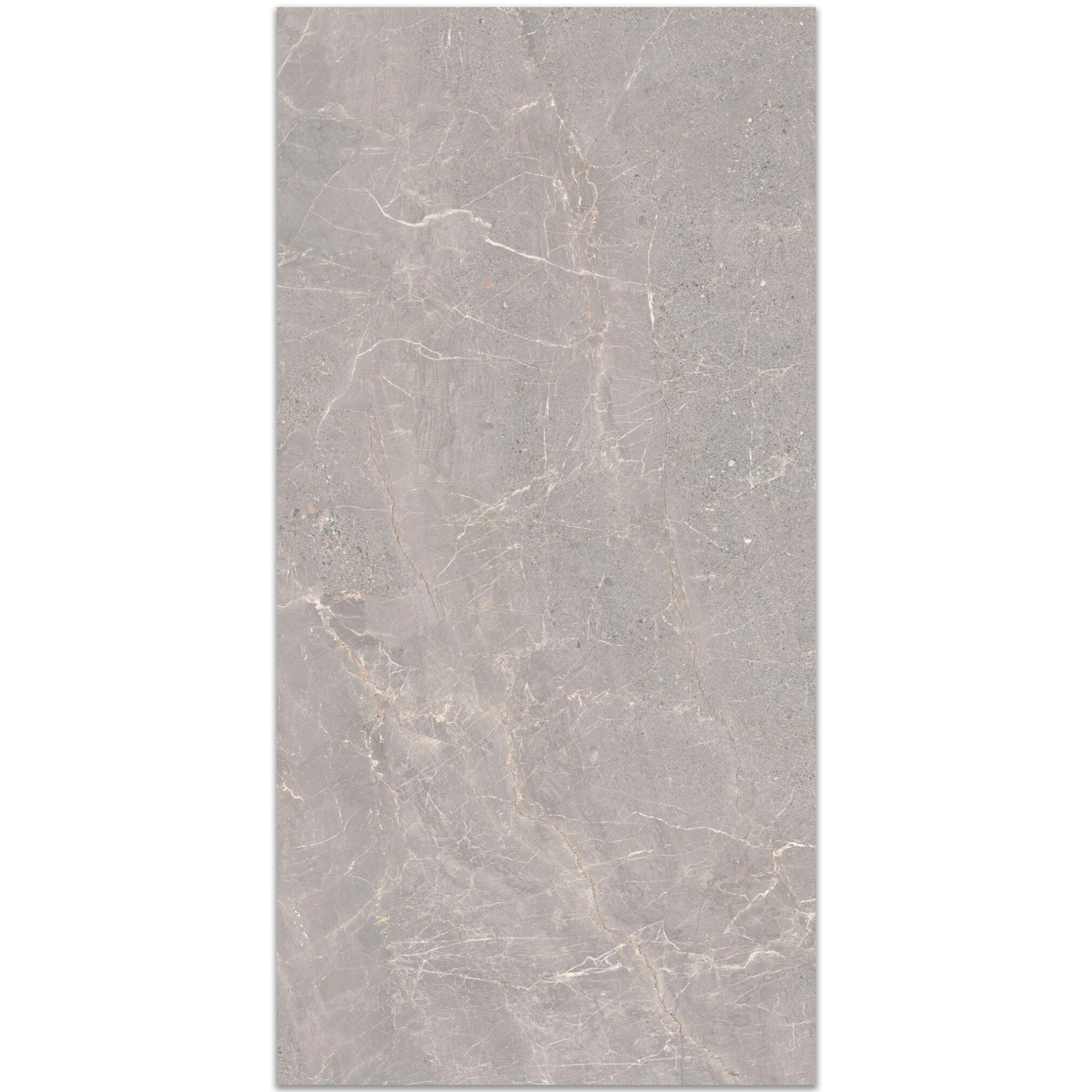 Alchemy Iron Marble Effect Porcelain Tile 60x120cm Antislip Matt