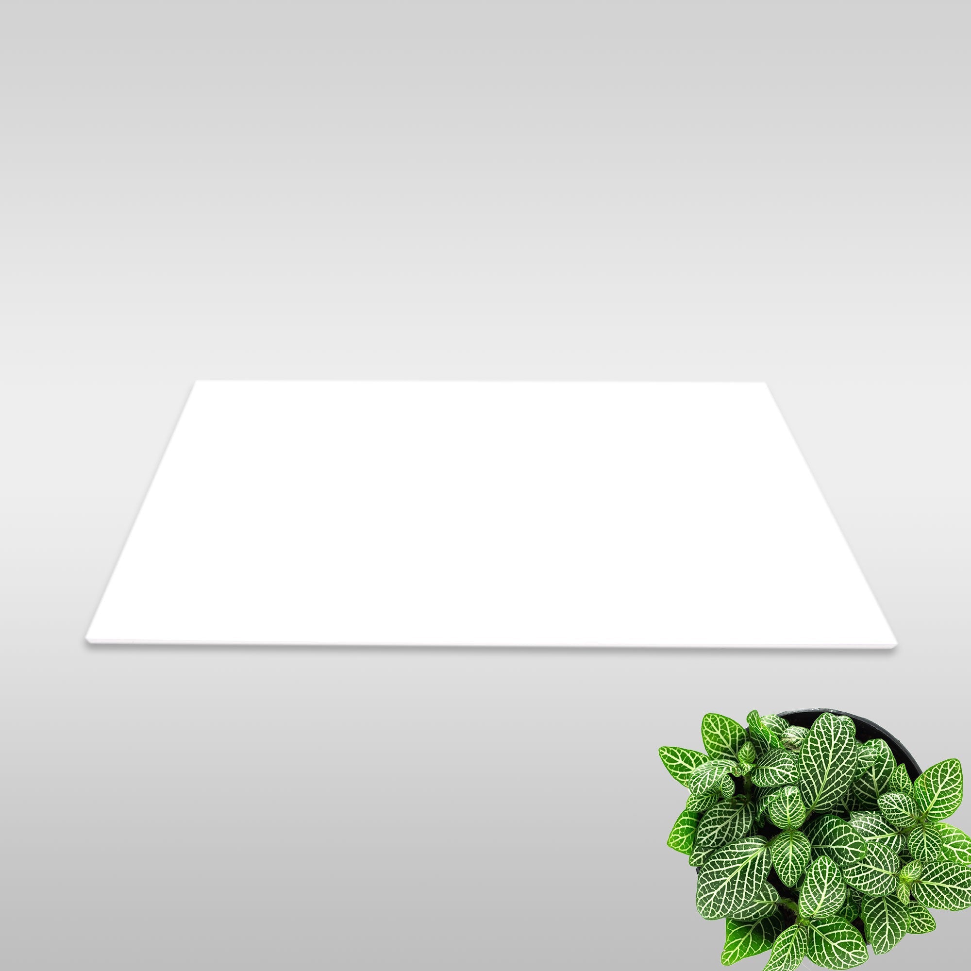 Deluxe Super White Gloss Rectified Tile 30x60cm