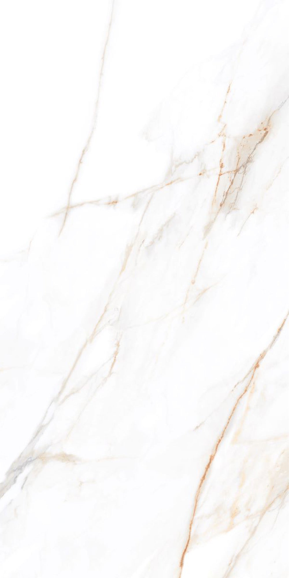 marmi oro supremo marble effect porcelain tile 60x120cm gloss