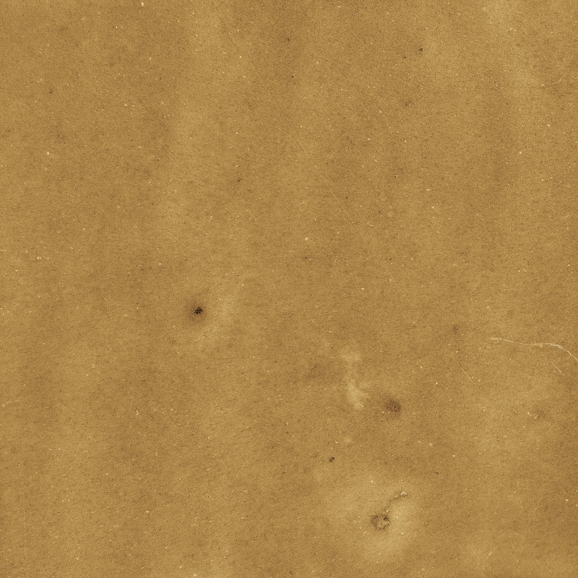 harmony samira gold decor wall tile 10x10cm gloss