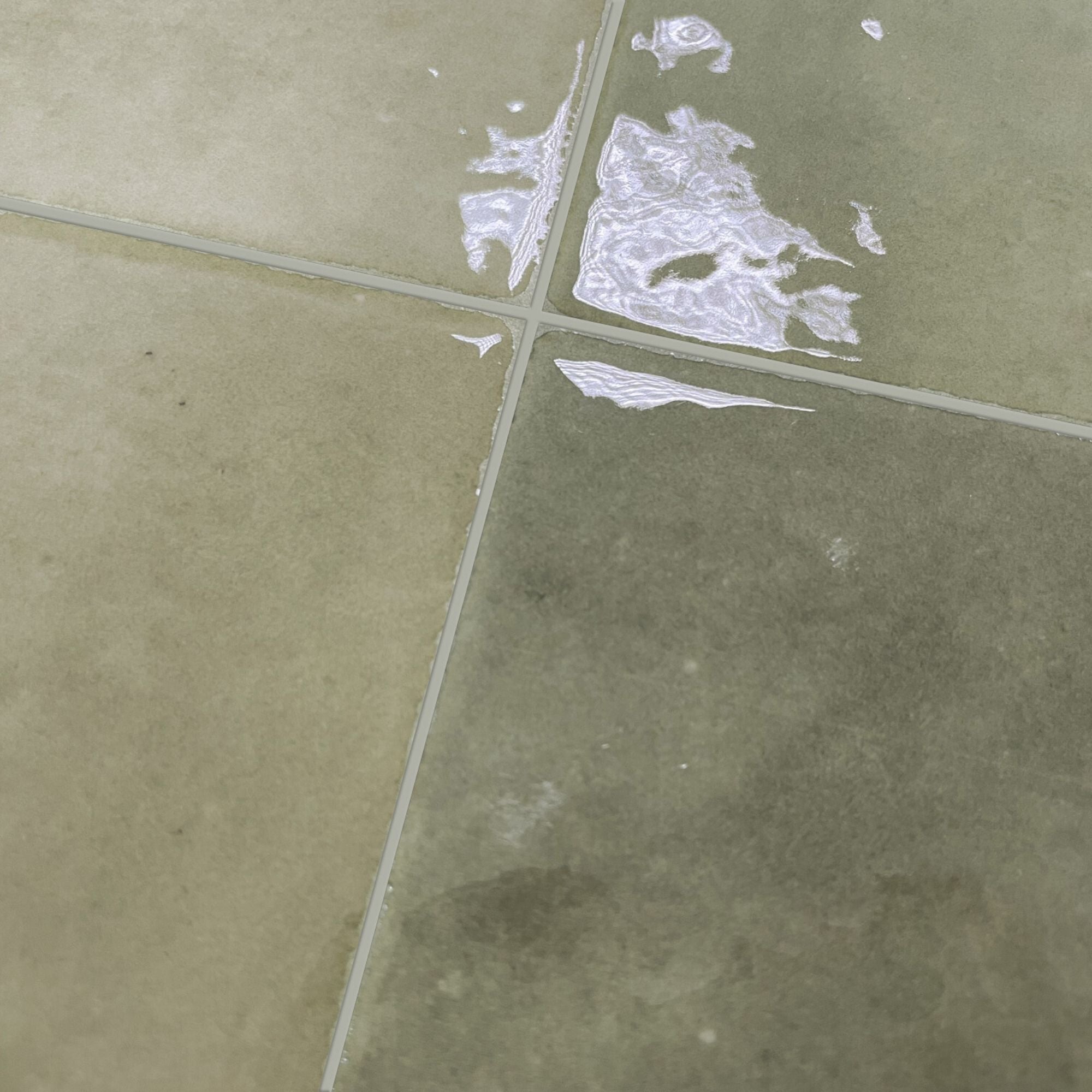 harmony samira sage decor wall tile 10x10cm gloss