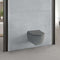 Amalfi Rimless Wall Hung WC Pan With Soft Close Toilet Seat - Matt Grey