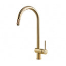 Foster volta aesthetica single lever kitchen tap gold pvd