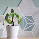 Varadero Hexagonal Porcelain Tile Matt Grey Feature 3