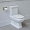 burlington riviera close coupled full back to wall wc toilet lifestyle Deluxe Bathrooms Ireland