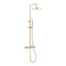 Crosswater Central Multifunction Thermostatic Shower Kit - Brushed Brass