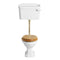 heritage granley low level toilet with standard wc pan gold